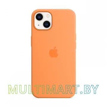 Чехол для телефона Apple MagSafe Silicone Case для iPhone 12/12 Pro (кумкват)